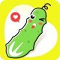 1024視頻純凈版app